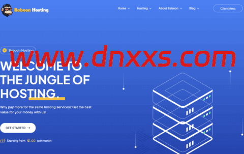 BaboonHosting:荷兰VPS,€12.99/年起,荷兰IPv6 vps年付5欧元起-小学生测评